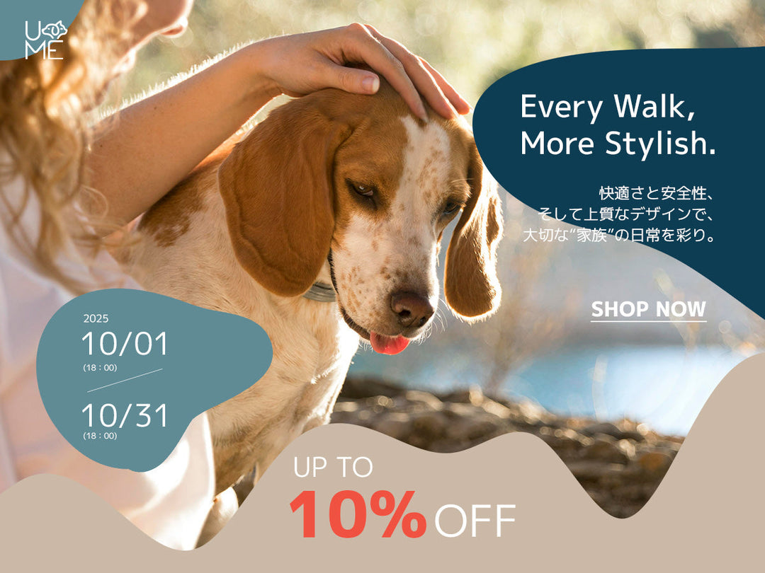【キャンペーン】PET COLLAR「首輪」TIME SALE開催のお知らせ