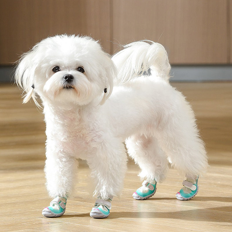 犬靴