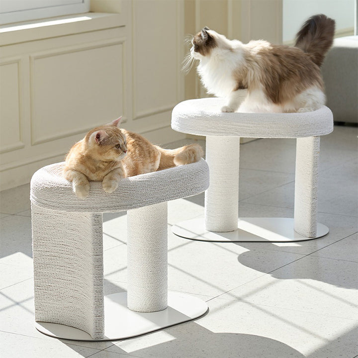 【キャットタワー】オーバル型  TranquilRest DuoDesign