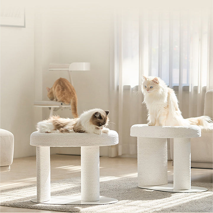 【キャットタワー】オーバル型  TranquilRest DuoDesign