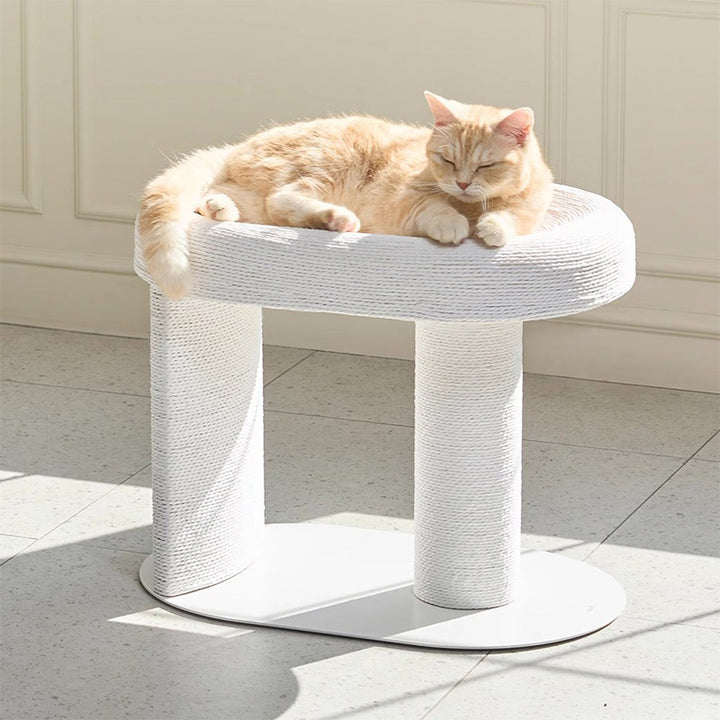 【キャットタワー】オーバル型  TranquilRest DuoDesign
