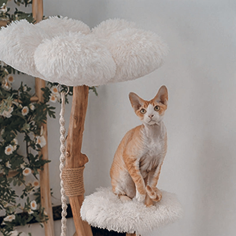【キャットタワー】無垢材 Calm Retreat