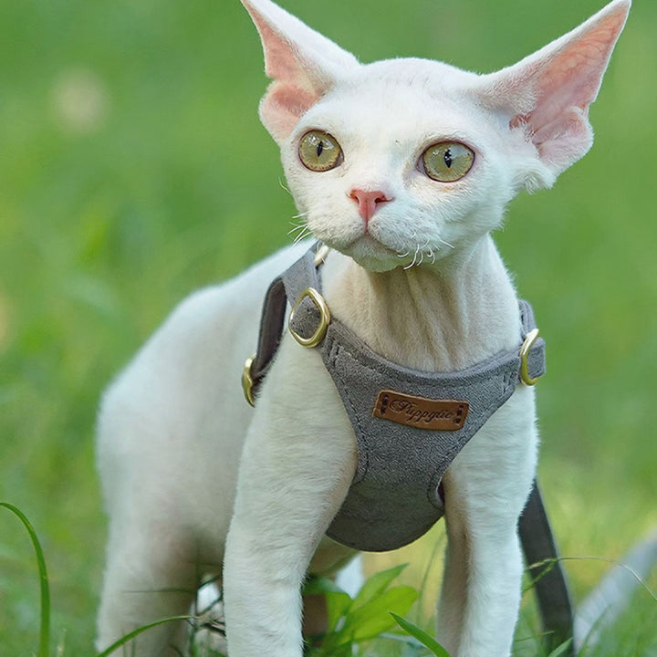 【犬ハーネスセット・ 猫ハーネスセット】軽い Urban Grace Fit