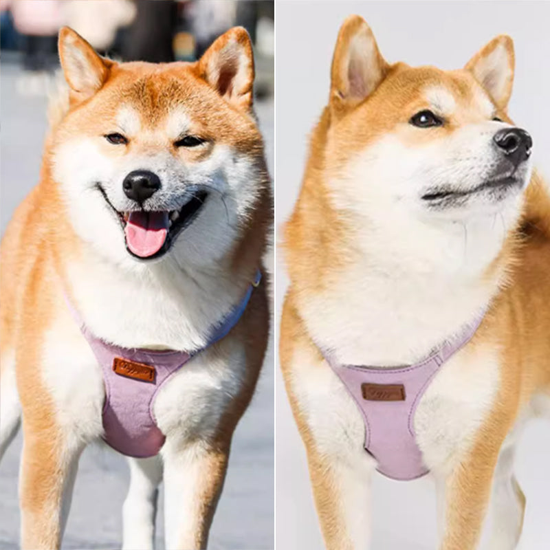 【犬ハーネスセット・ 猫ハーネスセット】軽い Urban Grace Fit