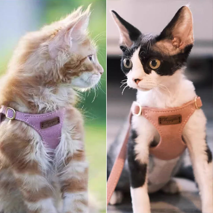 【犬ハーネスセット・ 猫ハーネスセット】軽い Urban Grace Fit