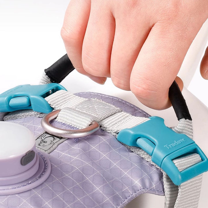 【犬ハーネスセット・ 猫ハーネスセット】LEDライト付き SecureGlow Harness