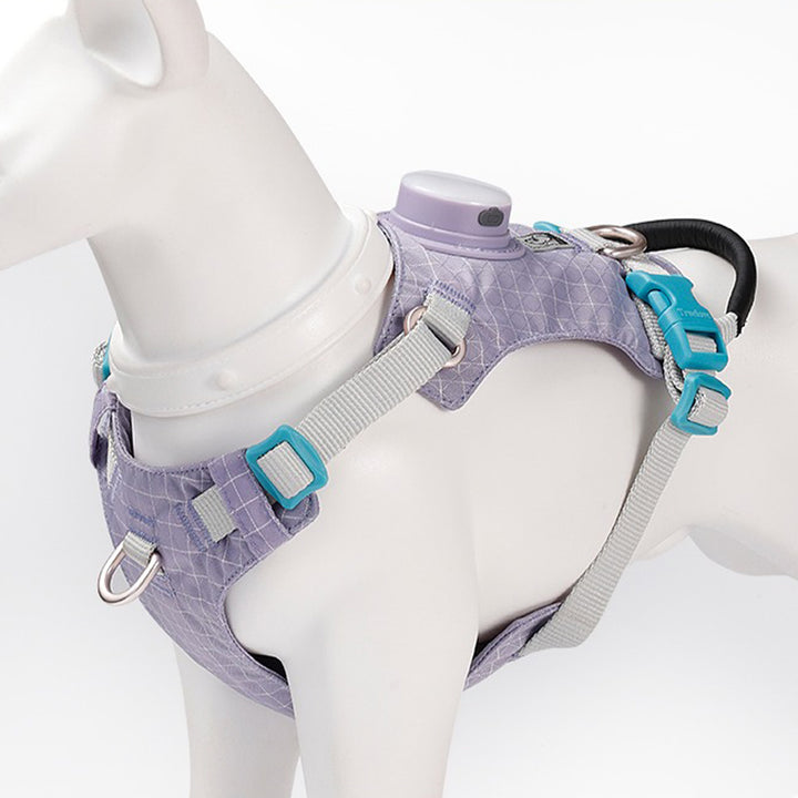 【犬ハーネスセット・ 猫ハーネスセット】LEDライト付き SecureGlow Harness