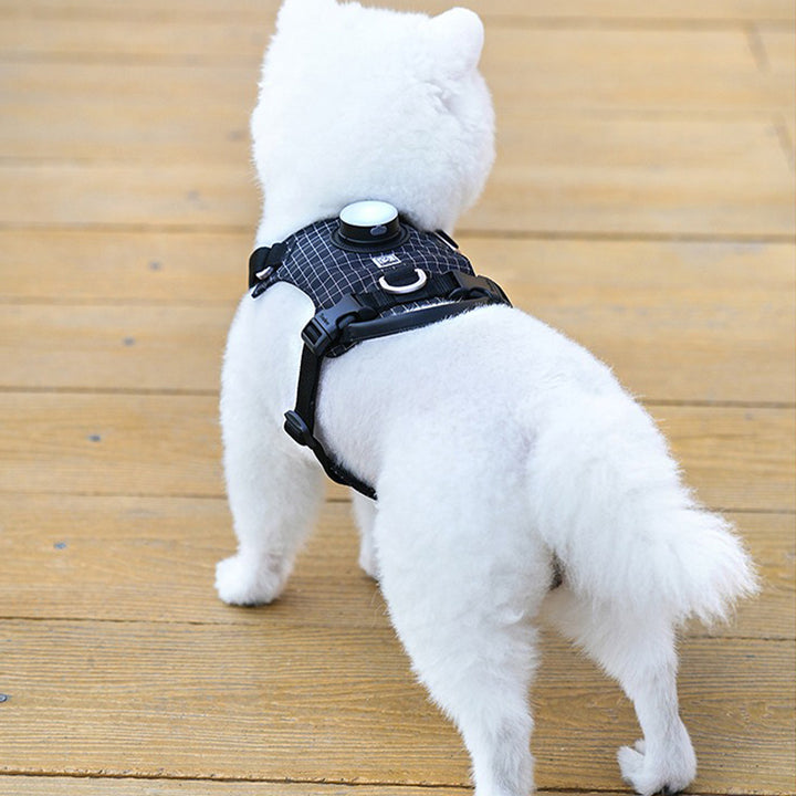 【犬ハーネスセット・ 猫ハーネスセット】LEDライト付き SecureGlow Harness