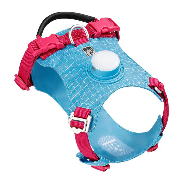 【犬ハーネスセット・ 猫ハーネスセット】LEDライト付き SecureGlow Harness