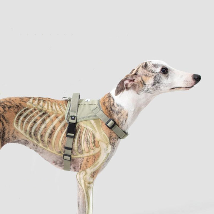 【犬ハーネスセット・ 猫ハーネスセット】おしゃれ Smart Mobility