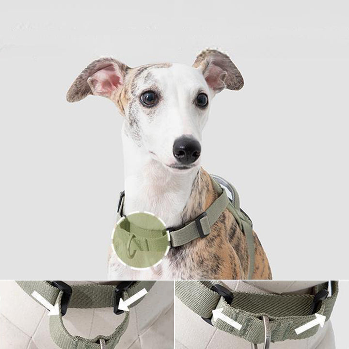 【犬ハーネスセット・ 猫ハーネスセット】おしゃれ Smart Mobility