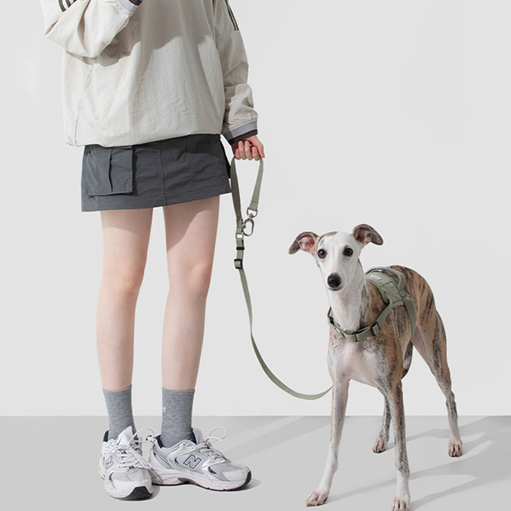 【犬ハーネスセット・ 猫ハーネスセット】おしゃれ Smart Mobility