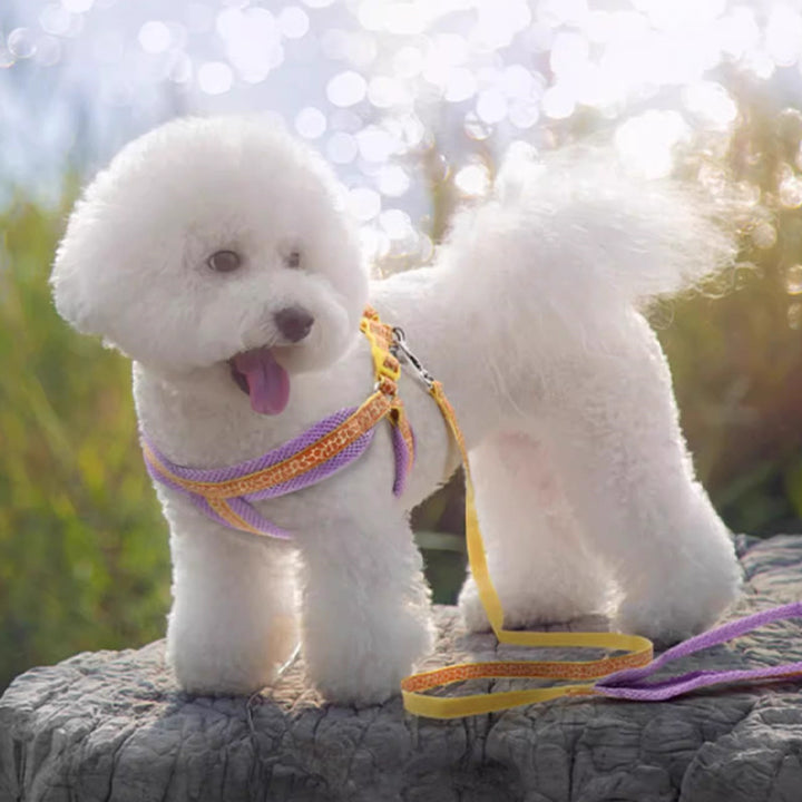 【犬ハーネスセット・ 猫ハーネスセット】花柄  Harmony