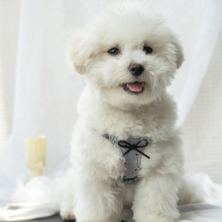 【犬ハーネスセット・ 猫ハーネスセット】レース Elegant Bloom