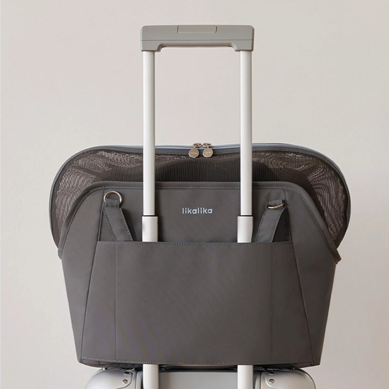 【キャリーバッグ】軽量 Travel Companion