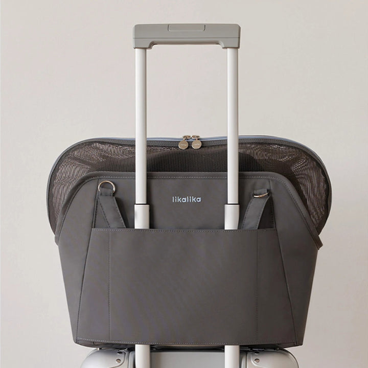 【キャリーバッグ】軽量 Travel Companion