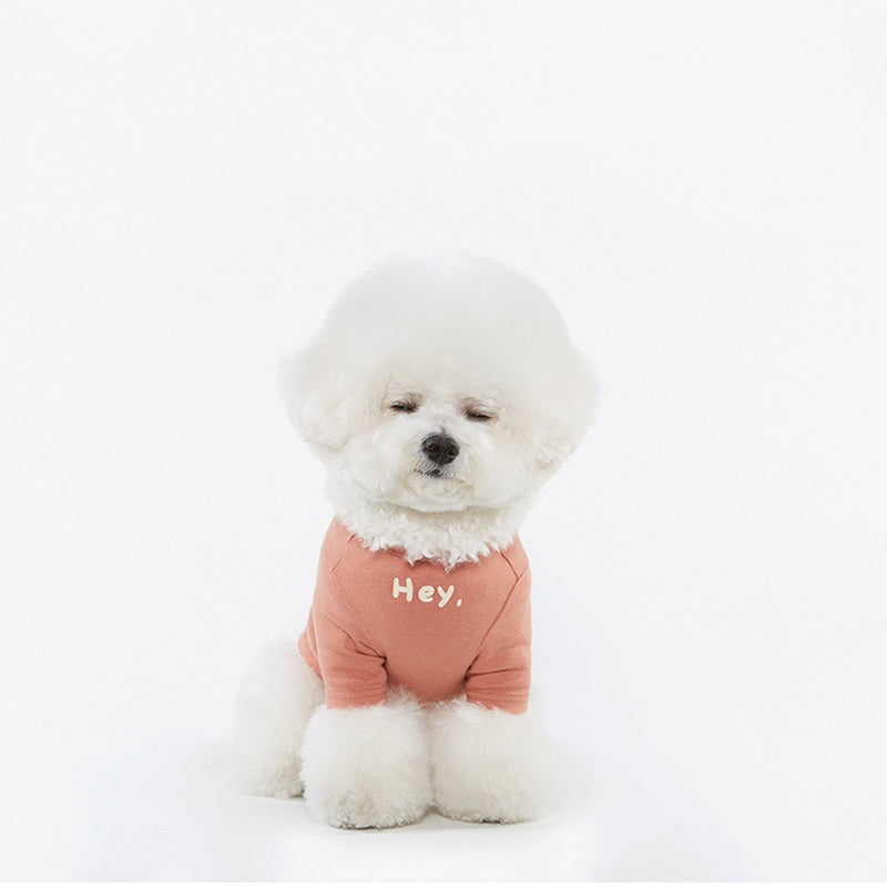 【犬服・猫服】コットン Trendy Comfort