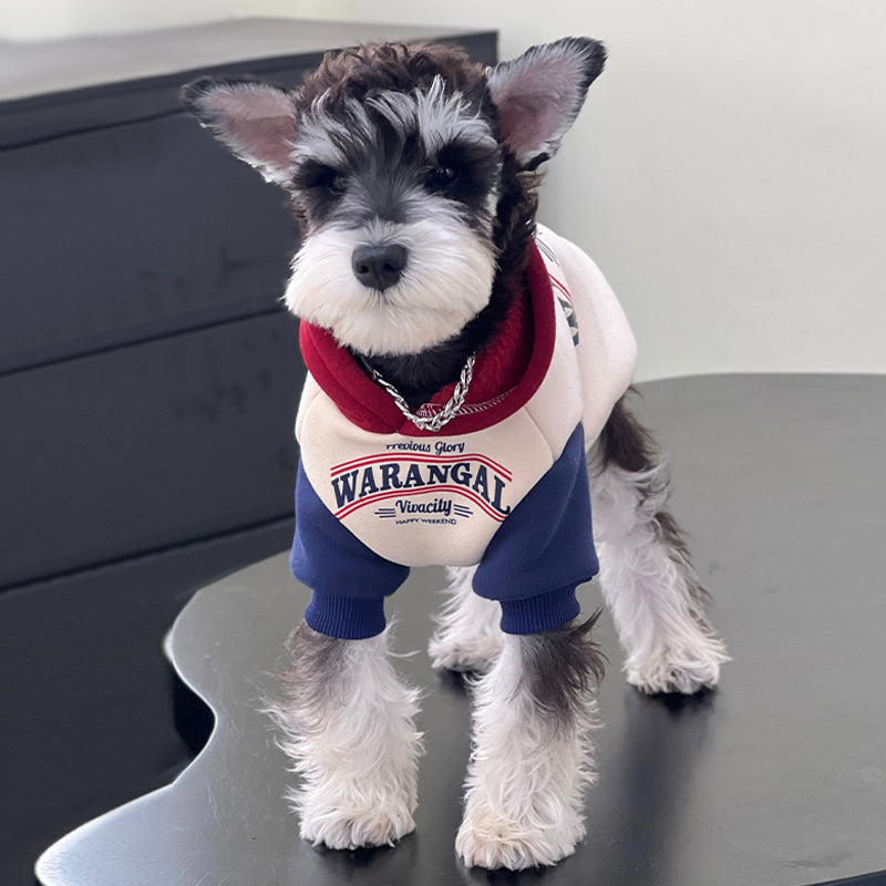 【犬服・ 猫服】 ソフトコットン Cozy Confort