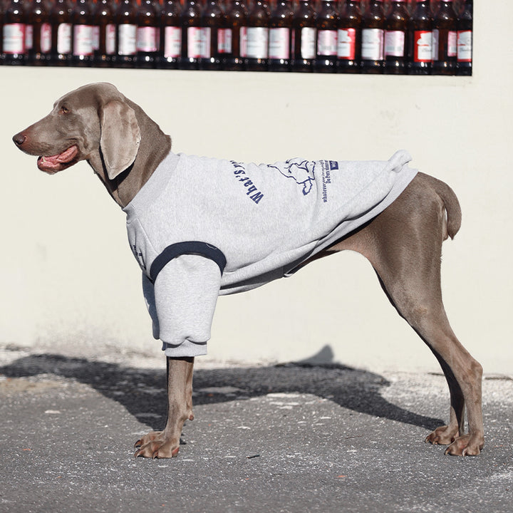 【犬服・猫服】 薄手伸縮 Active Casual