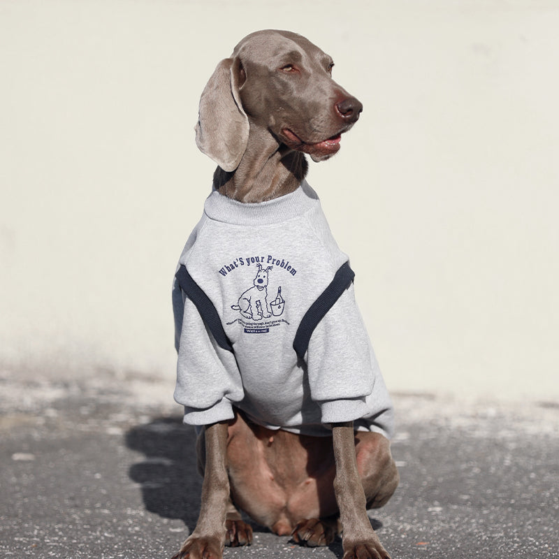 【犬服・猫服】 薄手伸縮 Active Casual