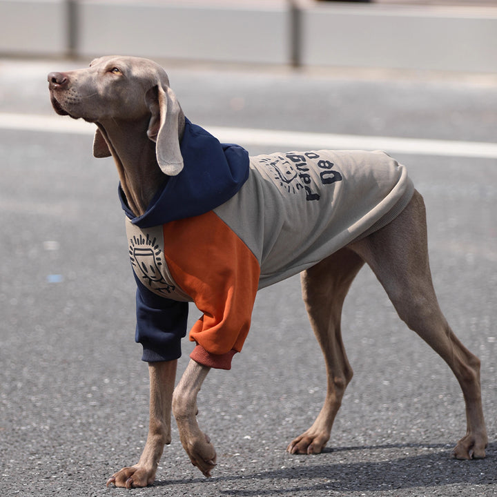 【犬服】 コットン Cozy Chic