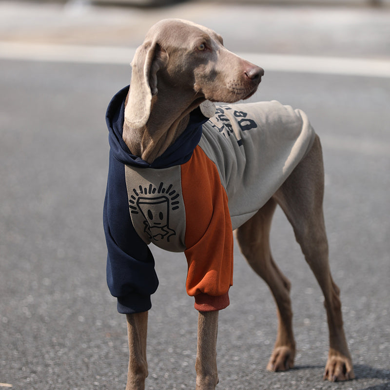 【犬服】 コットン Cozy Chic