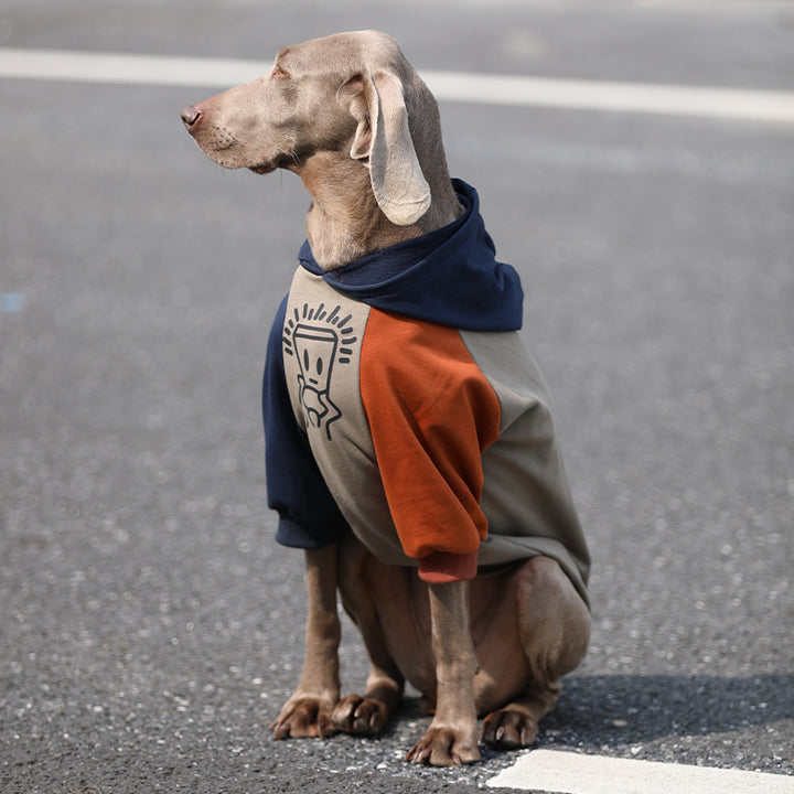 【犬服】 コットン Cozy Chic