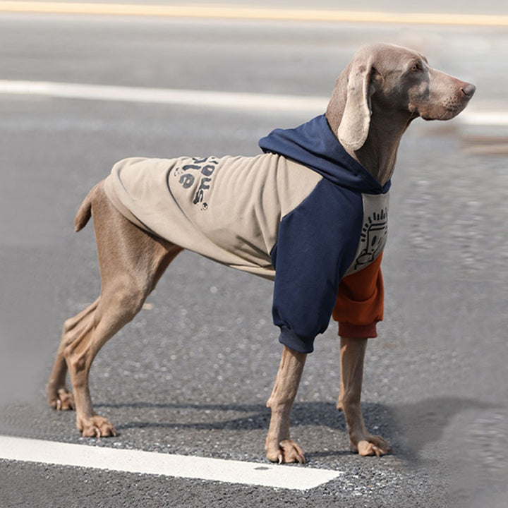 【犬服】 コットン Cozy Chic