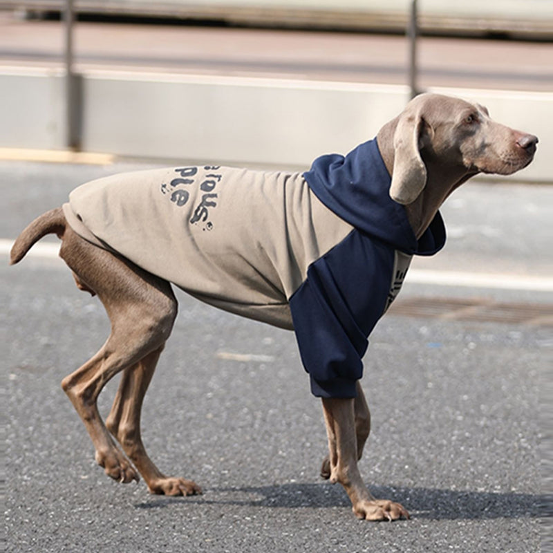 【犬服】 コットン Cozy Chic