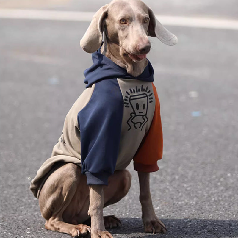 【犬服】 コットン Cozy Chic
