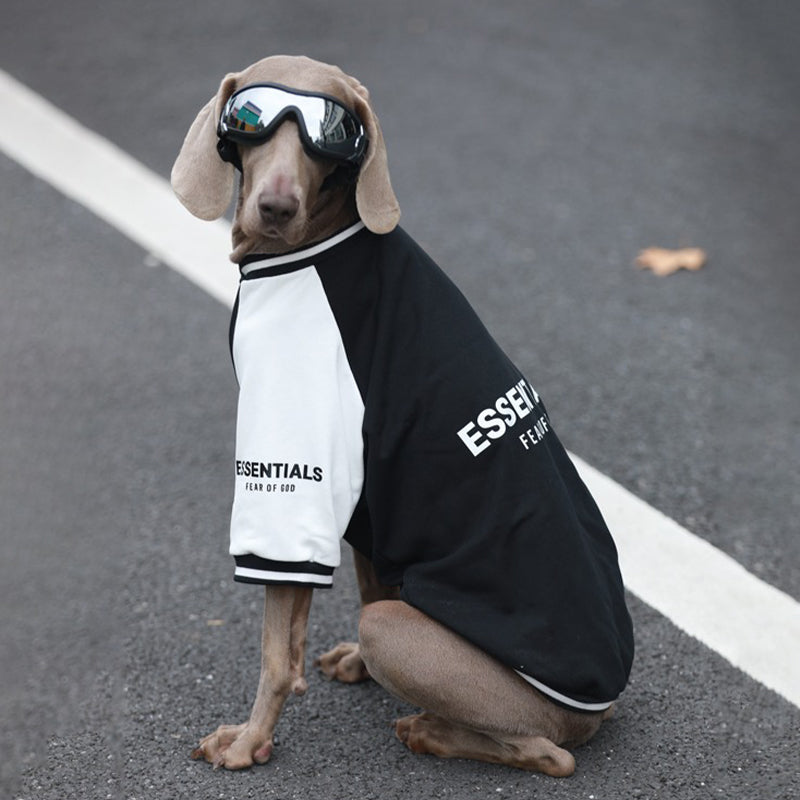 【犬服】コットン Pawsitive Energy