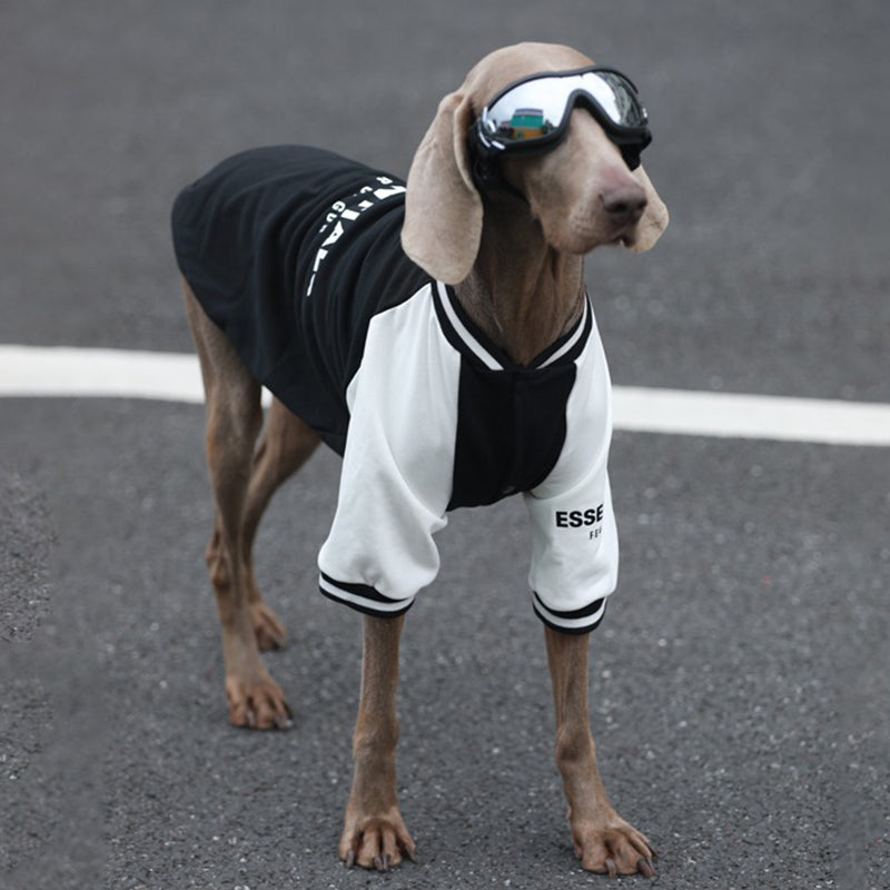 【犬服】コットン Pawsitive Energy
