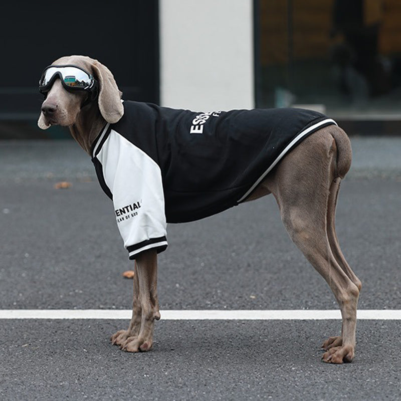 【犬服】コットン Pawsitive Energy