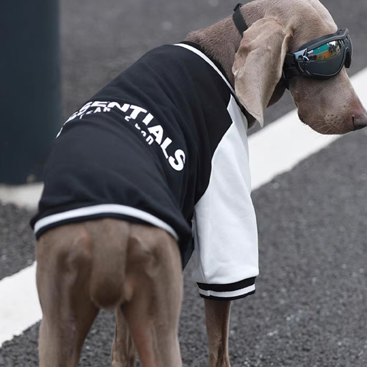 【犬服】コットン Pawsitive Energy