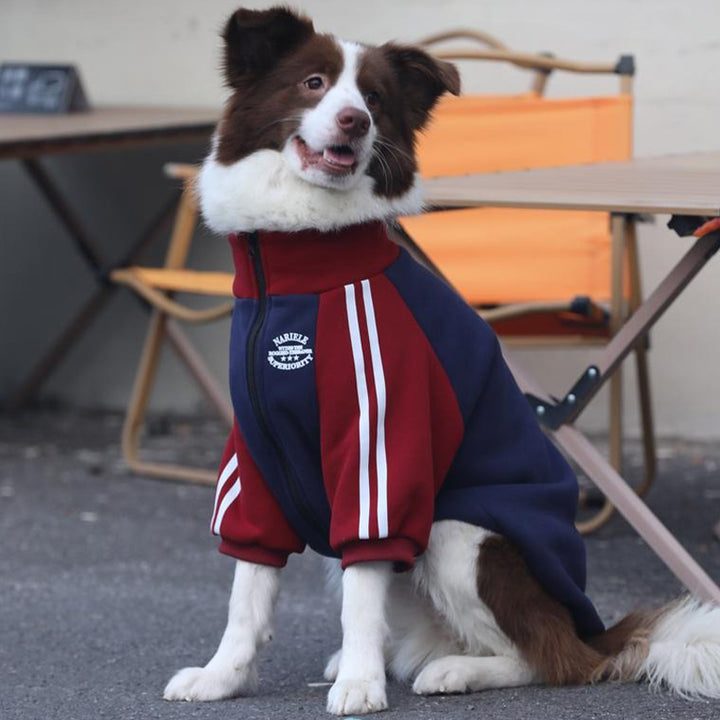 【犬服】コットン Pet Luxury
