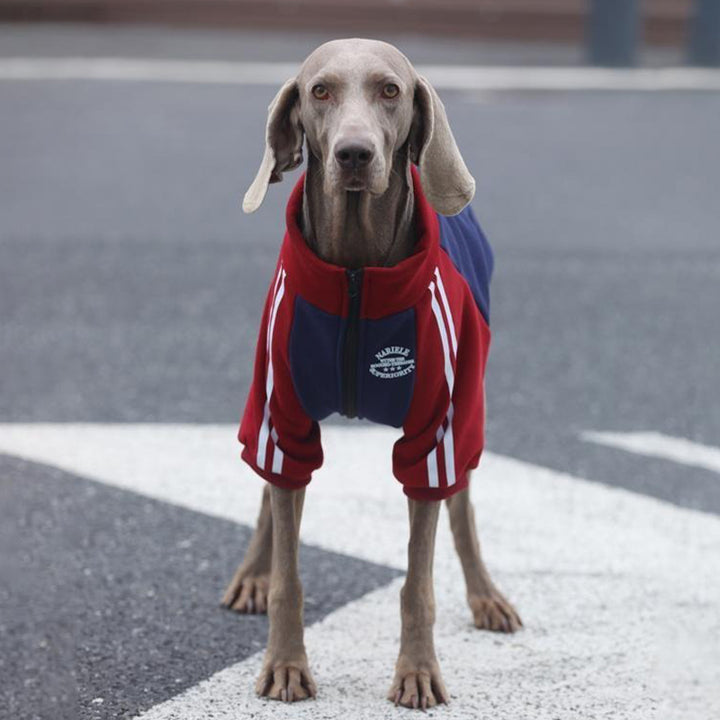 【犬服】コットン Pet Luxury