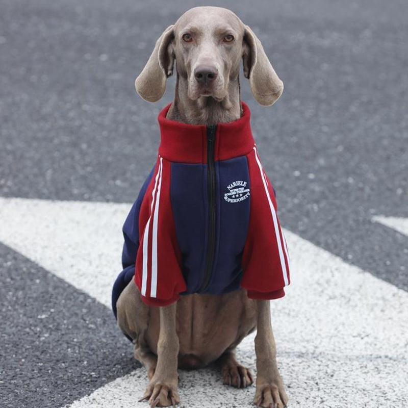 【犬服】コットン Pet Luxury