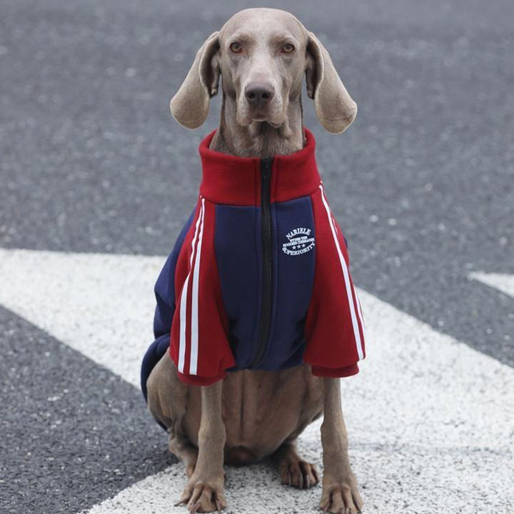 【犬服】コットン Pet Luxury