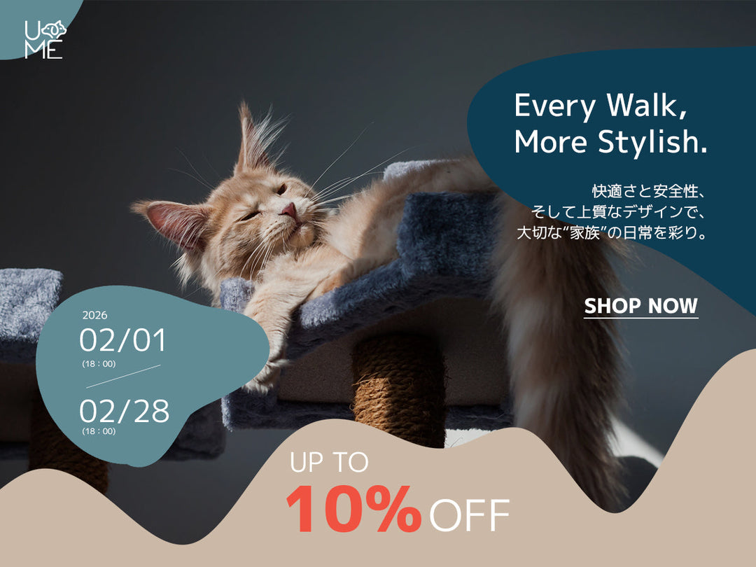 【キャンペーン】CATTOWER「キャットタワー」TIME SALE開催のお知らせ