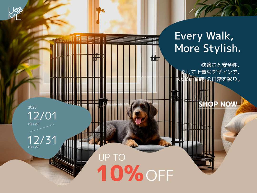 【キャンペーン】CAGE & HOUSE「ケージ」TIME SALE開催のお知らせ