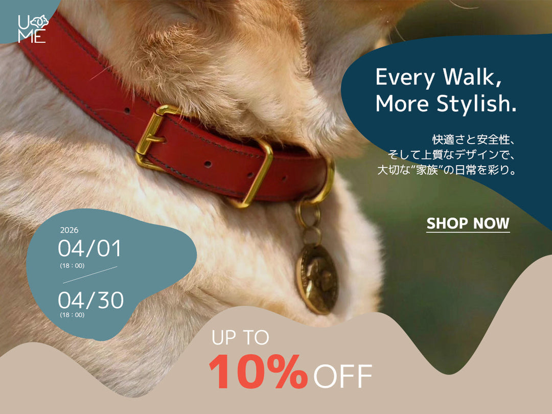 【キャンペーン】PET COLLAR「首輪」TIME SALE開催のお知らせ