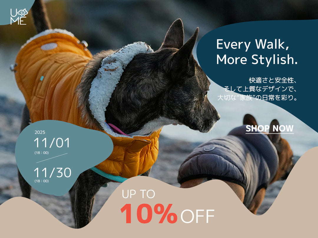 【キャンペーン】WEAR「ペットの洋服」TIME SALE開催のお知らせ
