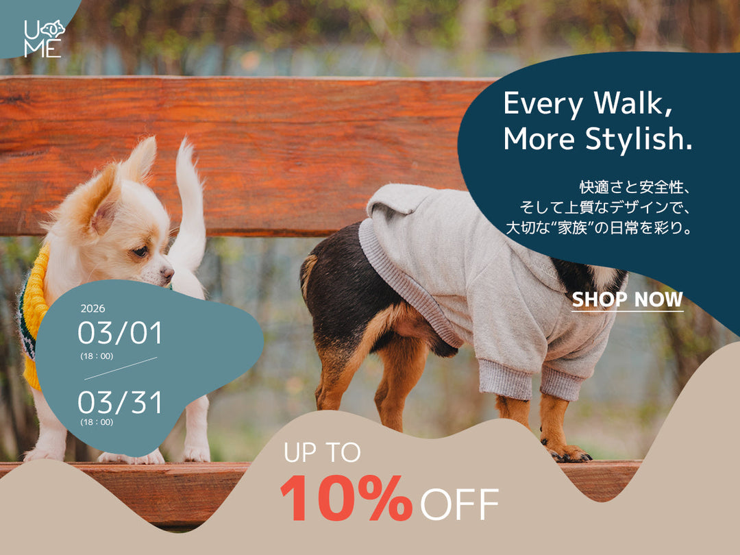 【キャンペーン】WEAR「ペットの洋服」TIME SALE開催のお知らせ
