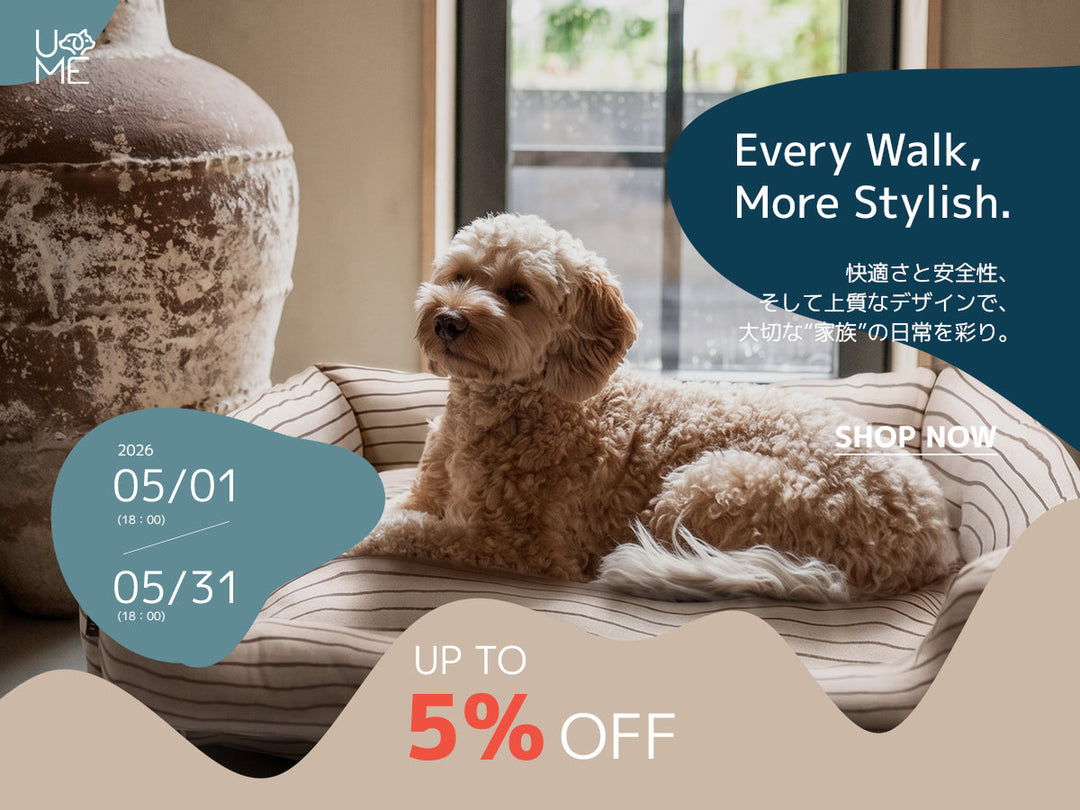 【キャンペーン】BED & MAT「ペットベッド」TIME SALE開催のお知らせ