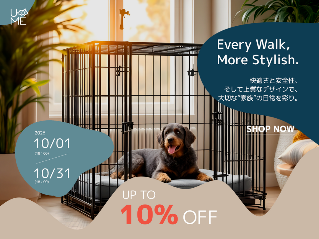 【キャンペーン】CAGE & HOUSE「ペットケージ」TIME SALE開催のお知らせ