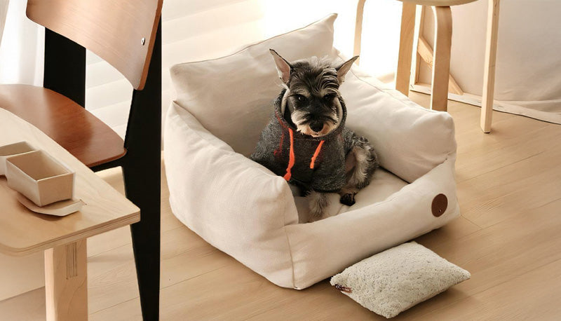 【特集】犬・猫のリネンベッド選び方