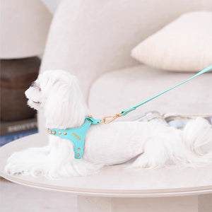 HARNESS SET