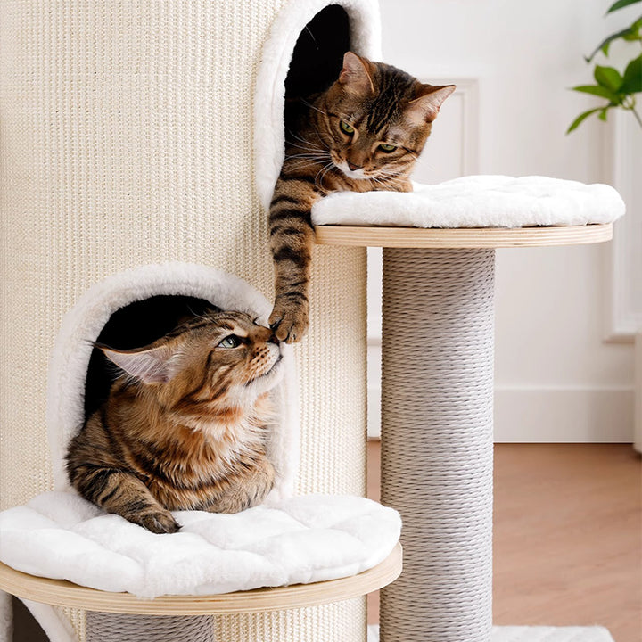 【キャットタワー】多頭ペット対応 Royal Retreat