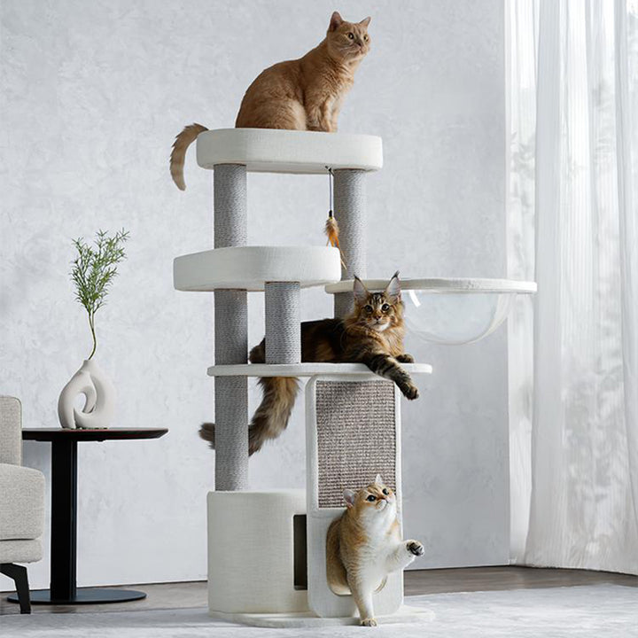 【キャットタワー】コンパクトサイズ Gentle Haven