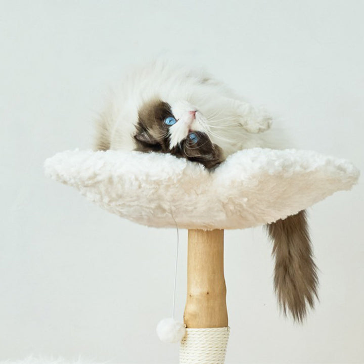 【キャットタワー】 ベルベット Floral Cloud